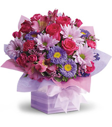  Lovely Lavender Present Cottage Florist Lakeland Fl 33813 Premium Flowers lakeland